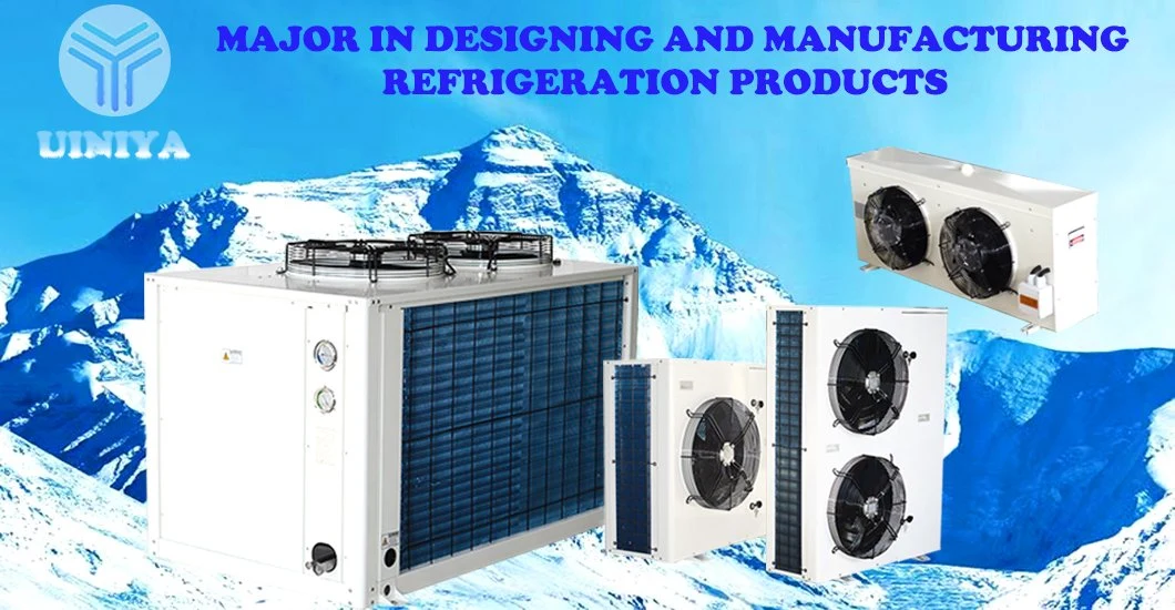Refrigeration Equipment Condensing Units for Air Condistioning Chiller Whiskey