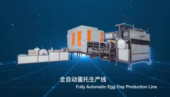 Automatic with Drying Function Egg Tray Price Molding Pulp Box Machine High Quality