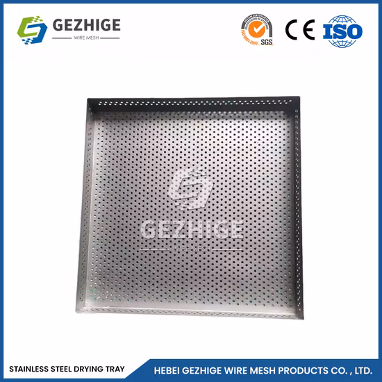 Food Grade Stainless Steel Flat Perforated Baking Mesh Trays for Drying