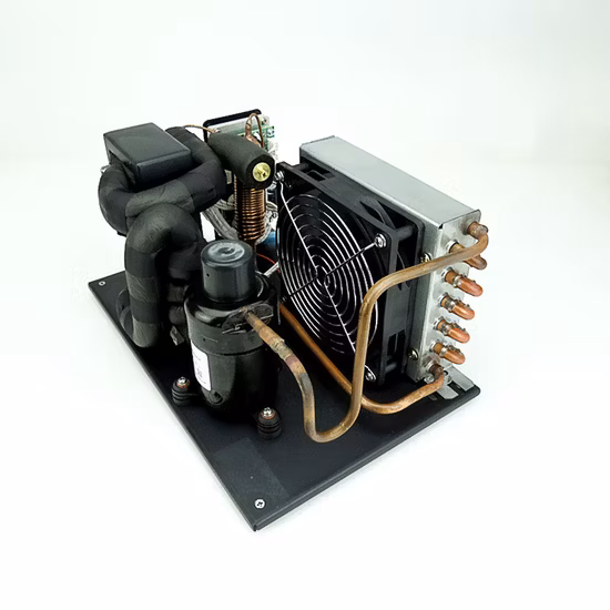 Factory Price Mini Chilling Equipment 12V 24V 48V Recirculating Liquid Chiller Module Unit Fsch019z12b